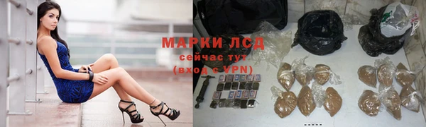 spice Абаза
