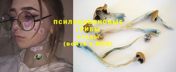 ALPHA PVP Алзамай